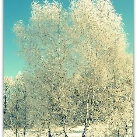 Resort Rezydencja Warminska Woryty